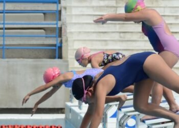Ibagué disfrutó del Festival de Natación en las Piscinas Olímpicas de la calle 42