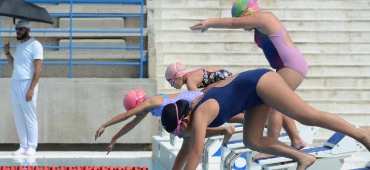 Ibagué disfrutó del Festival de Natación en las Piscinas Olímpicas de la calle 42