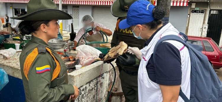 Autoridades incautaron 73 kilos de pez Basa en controles de Semana Santa