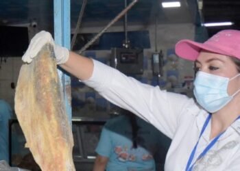 Secretaría de Salud de Ibagué alista operativos de cara a la llegada de la Semana Santa