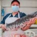 Esta Semana Santa compre sus pescados en las plazas de mercado