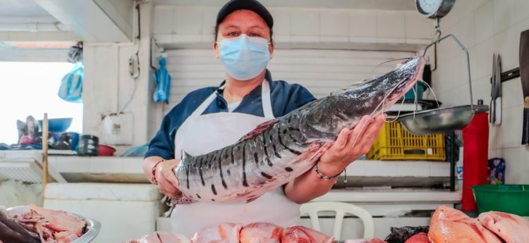Esta Semana Santa compre sus pescados en las plazas de mercado
