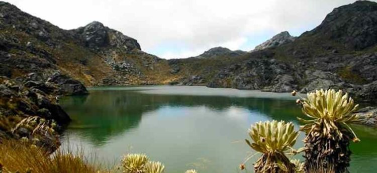Parque Nacional de Las Hermosas: La reserva natural que sobrevivió a la violencia