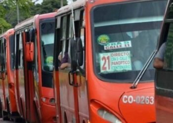 Ruta Ibagué – Chucuní – Ibagué tendrá tres frecuencias diarias