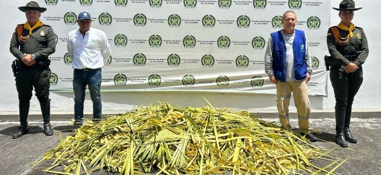 Durante el fin de semana las autoridades capturaron a 12 personas y se incautaron de 174 armas blancas