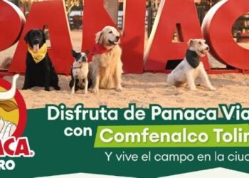 Adquiere tus boletas Panaca Viajero con Comfenalco Tolima