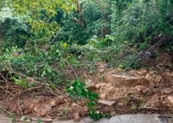 Deslizamiento de tierra tapona de nuevo la vía Dolores – Prado