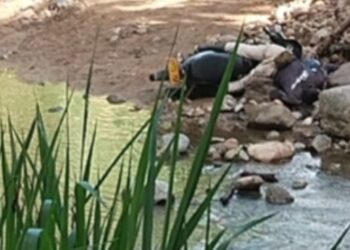 Autoridades investigan doble homicidio en zona rural de Lérida 