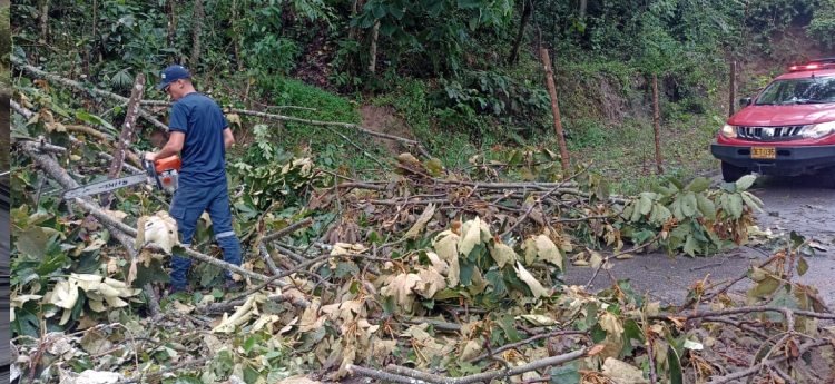 Bomberos de Ibagué atendieron diferentes emergencias por lluvias