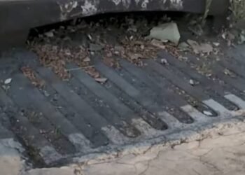 Regresa ‘Destapando Ando’, la campaña de limpieza impulsada por la Gobernación del Tolima