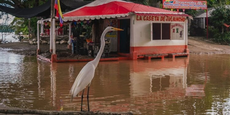 Ambalema se proyecta como el punto fuerte del turismo en el norte del Tolima