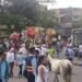 Por falta de reglamentación no se puede realizar cabalgata en la Fiestas del Folclor en Ibagué