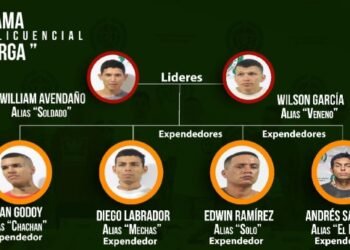 Desarticularon a los ‘Calle Larga’, que se dedicarían a expender estupefacientes en la Comuna Ocho de Ibagué
