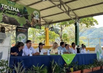 Directora de Cortolima anuncia inversiones ambientales por más de $1.600 millones en Rovira