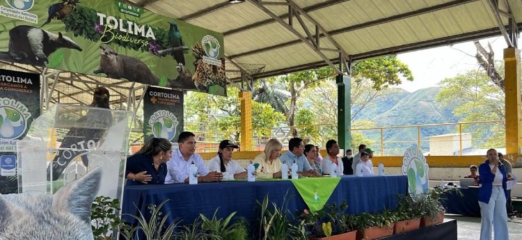 Directora de Cortolima anuncia inversiones ambientales por más de $1.600 millones en Rovira