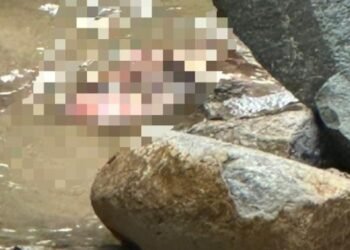 Autoridades investigan hallazgo de feto en quebrada de la Comuna Seis de Ibagué