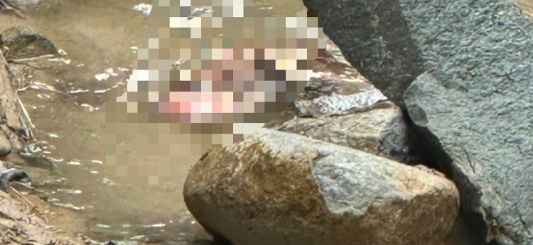 Autoridades investigan hallazgo de feto en quebrada de la Comuna Seis de Ibagué