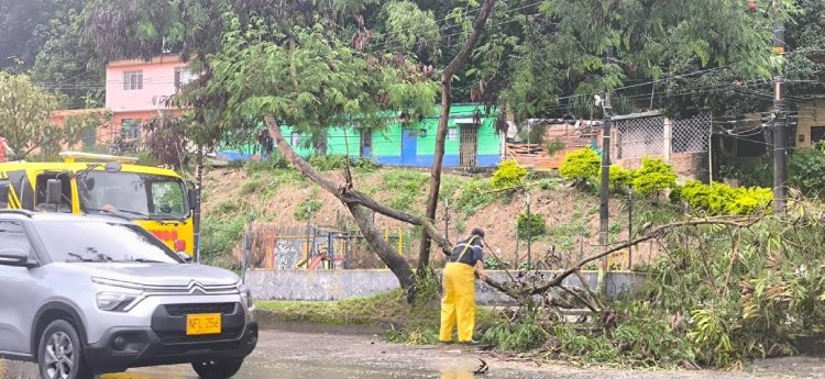 La Comuna 12, la más afectada por inundaciones por las fuertes lluvias en Ibagué