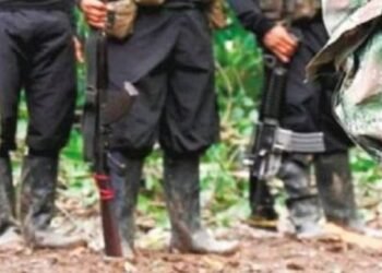 Coronel Ojeda advierte sobre intento del Clan del Golfo a ingresar al Tolima