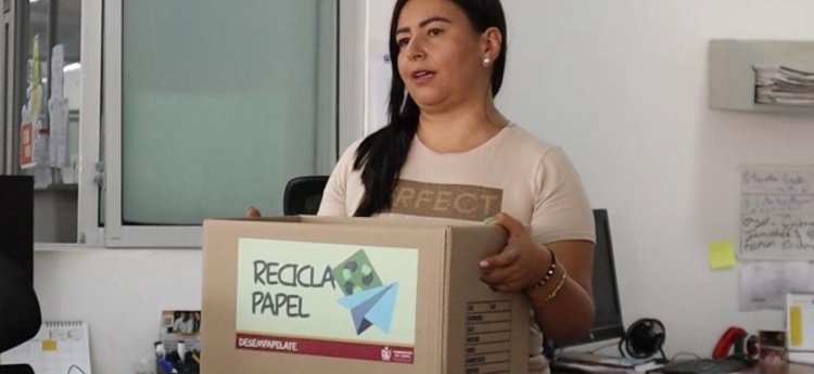”Desempapélate” la estrategia con la que se busca proteger el medio ambiente desde la Gobernación del Tolima