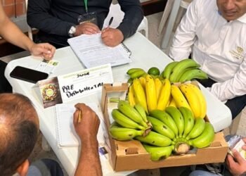 El campo del Tolima el mas beneficiado con rueda de negocios 2025