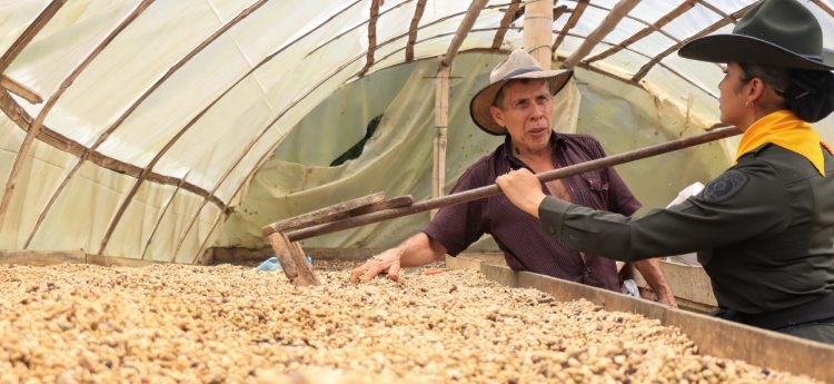 Policía de Ibagué brindará seguridad durante esta temporada de cosechas