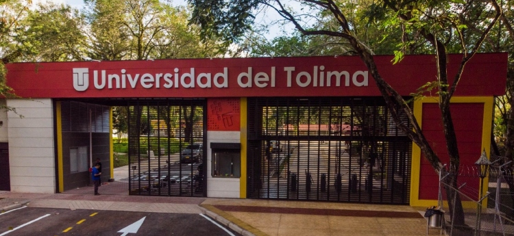 Universidad del Tolima abre inscripciones para programas de pregrado en el Semestre B 2025