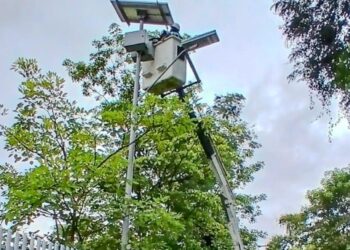 Alcaldía invertirá $1.100 millones para reponer luminarias solares en Ibagué