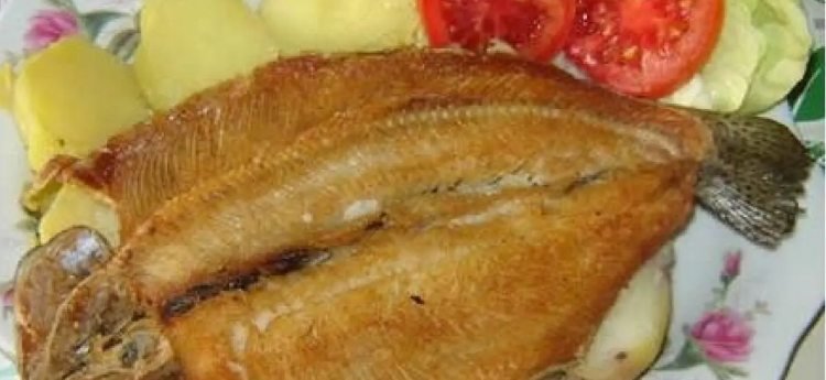 En el Tolima se realizará el Festival de la Trucha, así quedó establecido por ordenanza de la Asamblea