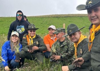 Policía del Tolima sembró 300 frailejones en el Parque Natural de los Nevados 