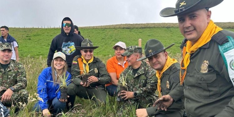 Policía del Tolima sembró 300 frailejones en el Parque Natural de los Nevados 