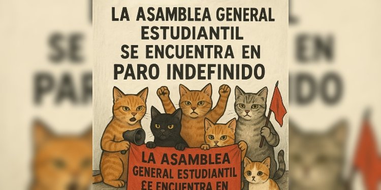 Encapuchados provocaron incendio en la rectoría de la Universidad del Tolima