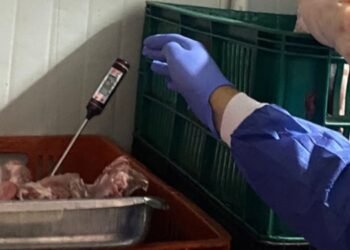 Más de 160 kilos de productos cárnicos en mal estado fueron incautados en Ibagué