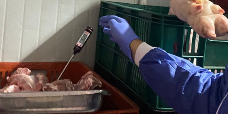 Más de 160 kilos de productos cárnicos en mal estado fueron incautados en Ibagué