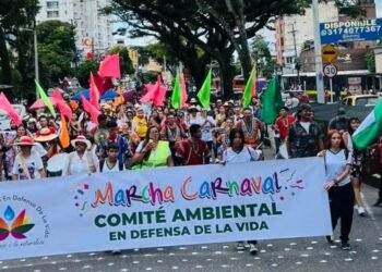 Organizadores de la Marcha Carnaval hacen llamado a evitar el consumo de sustancias y licor