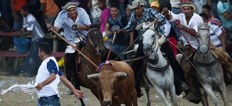 Siete personas heridas dejan las corralejas este fin de semana en El Espinal