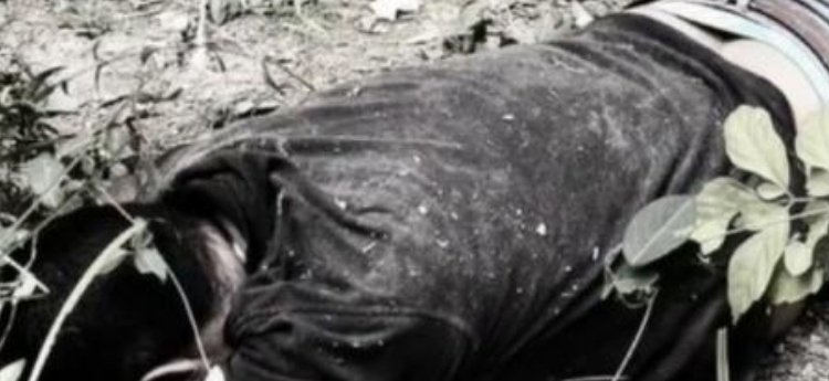 Una persona fue encontrada muerta en la vía Melgar – Carmén de Apicalá