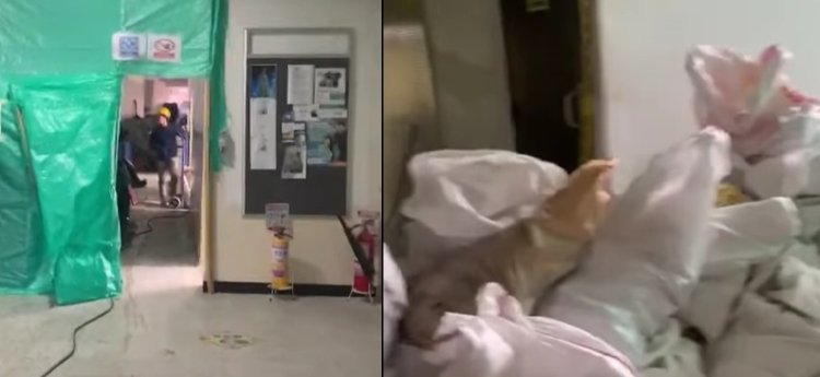 Asonal Judicial denuncia denuncia afectaciones a trabajadores judiciales por obras en horario laboral