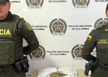 Incautan 7 kg de marihuana en la vida de Roncesvalles hacia el departamento del Valle del Cauca 