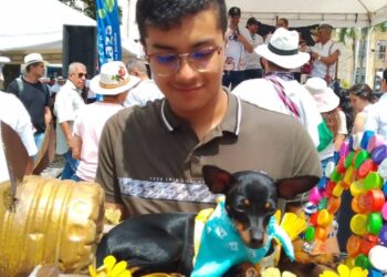 «Sin perros que ataquen a otros, sin riñas, sin perros alcoholizados y sin fallecidos transcurrió todo»  El curioso mensaje de Francisco Espín, secretario de Gobierno de Ibagué