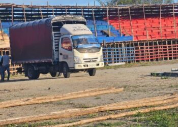 Cortolima se pronuncia por incautación de carga de madera ilegal en el municipio del Guamo