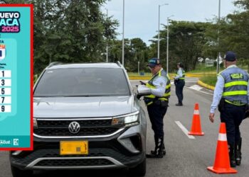 Pico y placa en Ibagué cambiará en el segundo semestre