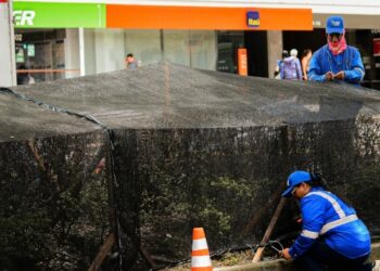 Dañaron protectores del ornato de los separadores de la Quinta
