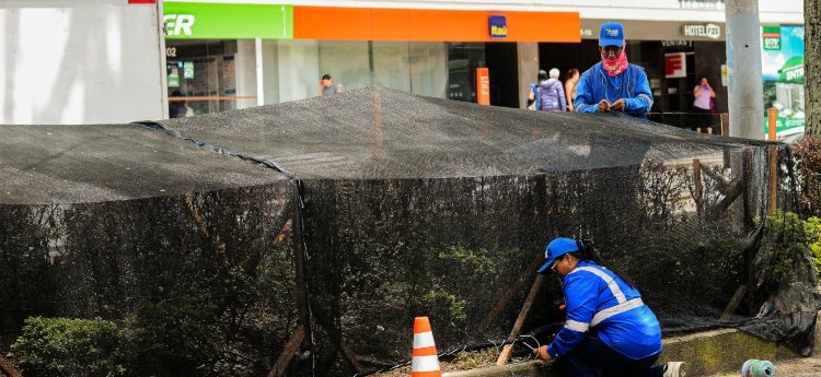 Dañaron protectores del ornato de los separadores de la Quinta