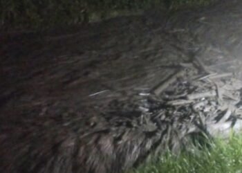 Creciente súbita y movimiento en masa en el Cañón del Combeima