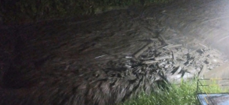 Creciente súbita y movimiento en masa en el Cañón del Combeima