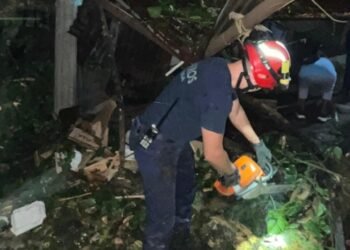 Árbol gigante cayó sobre una vivienda en el barrio Baltazar
