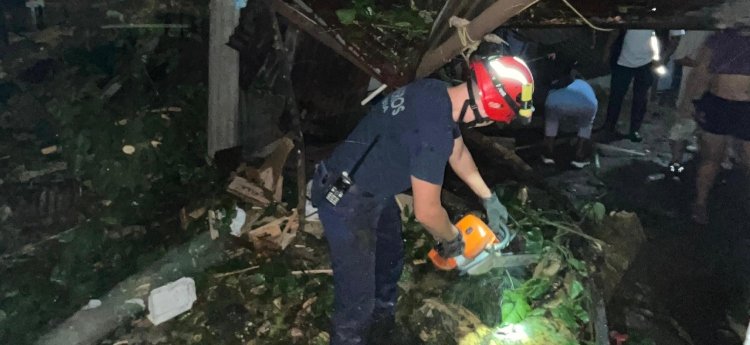 Árbol gigante cayó sobre una vivienda en el barrio Baltazar