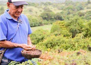 Cerca de 7.000 millones de pesos han sido invertidos en protección de territorios indígenas por parte de Cortolima 