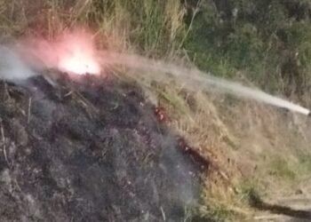 Transeúnte arrojó antorcha que provocó incendio forestal